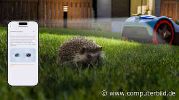 Segway Navimow: Mähroboter bald mit Tierfreundlich-Modus