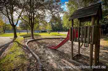 Sogar Nester aus Bäumen geschlagen: Ärger über Randale auf Spielplatz