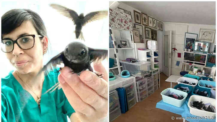 Herz für Himmelsstürmer: Lina Schwarzmeier erhält Tierschutzpreis - „Motiviert und beflügelt mich“