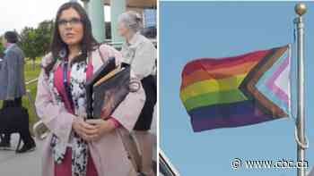 Niagara trustee suspended for comparing Pride flag to Nazi flag tries again to ban Pride flag
