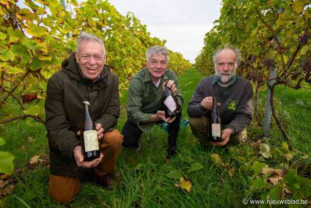 Kamagurka ontwerpt etiket voor natuurwijn die bij topchef in de smaak valt: “Enkel wat aan de plant hangt, gaat in de fles”