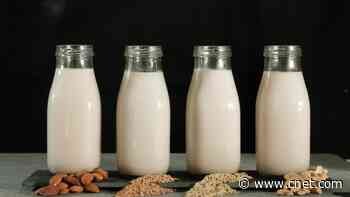 The Best Milk Alternatives for Making Foam and Frothing