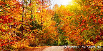 Das ist der „goldene Oktober“ in der Region Ulm