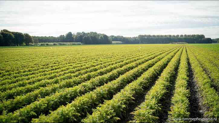 Flevoland - Boeren kunnen nu ook geld aan provincie vragen voor oplossing vol stroomnet