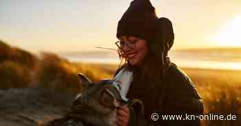 Urlaub mit Hund: Die besten Hundestrände und hundefreundlichen Hotels in Deutschland