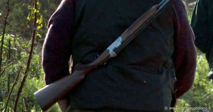 Ucciso nel bosco mentre raccoglieva funghi, aperta un’inchiesta per omicidio colposo