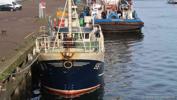 Deens-Duitse staandwantkotter verruilt tong voor kabeljauw