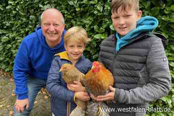 Steinhagener Geflügelzüchter wagen den Neuanfang