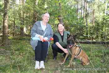 Retter auf vier Pfoten erschnüffelt Vermisste