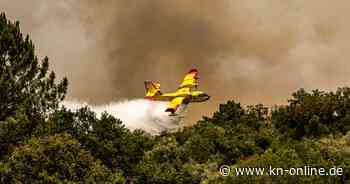 Waldbrände: EU bestellt Canadair-Löschflugzeuge – eine fliegende Legende