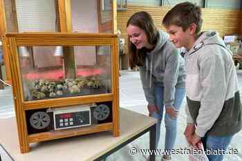 Große Verantwortung für kleine Tiere