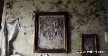 After Hurricane Milton, Get Ready for Mold