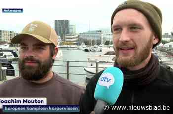 Antwerpse karpervissers halen Europese titel binnen dankzij bijzondere visstijl: “De dikste vis die we vingen woog 24,2 kg”