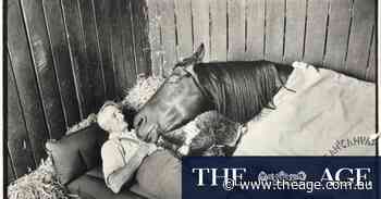 Celebrating 170 years: The Age’s best pictures