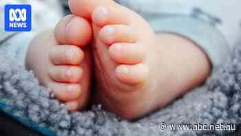 As Australia's fertility rate hits rock bottom have we hit the point of no return?