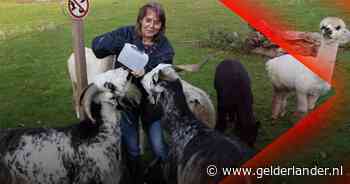 Kinderboerderij slaakt noodkreet • Viersterrenhotel geopend in Nijmegen