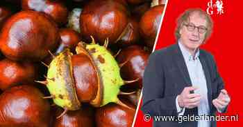 Ik wilde niet, maar het moest: een schoenendoos zo herfstig mogelijk maken