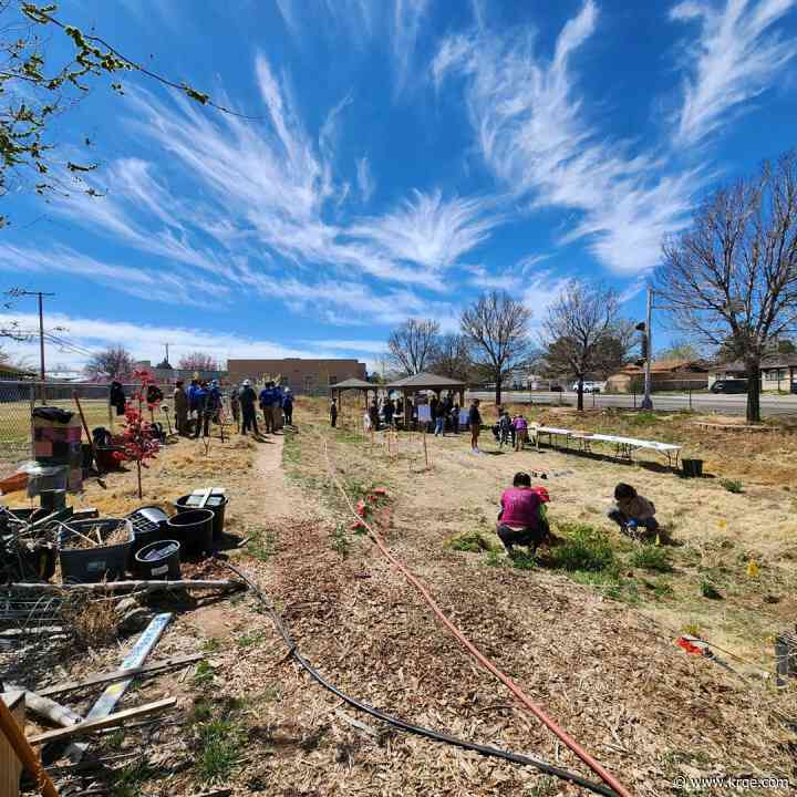 City of Albuquerque looking for volunteers to spruce up school garden for students