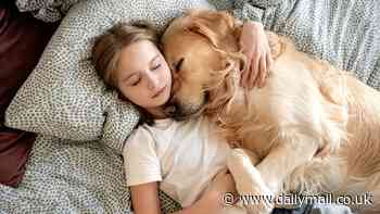 Scientists discover dogs are entering a new phase of evolution