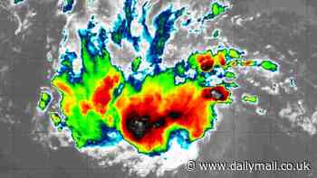 Hurricane watchers say storm Nadine is 'showing signs of life' in new radar footage