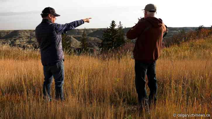 Habitat loss contributing to declining grassland bird populations: report