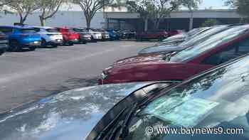 Clearwater dealership CFO says new car demand is up since hurricanes hit