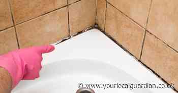 Croydon Council makes tenant wait over a year for damp and mould check