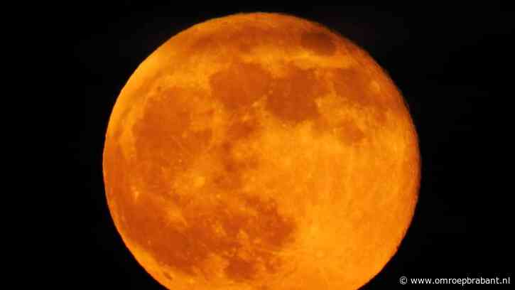 De grootste en helderste maan van het jaar te zien boven Brabant