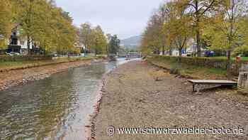 Umzug für Flusstiere: So wurden die Nagold-Fische vorm Ersticken bewahrt