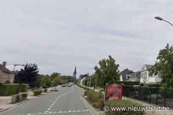 Sander de Vosstraat krijgt kleurrijke plantsoenen: “Verhoogt verkeersveiligheid”