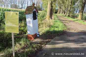 Storm wil windturbine bouwen nabij ‘Goed Ter Looveren’. “Groene stroom voor 8.000 gezinnen”
