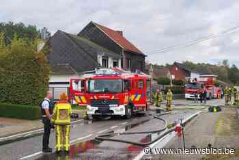 Tiental honden overleeft uitslaande brand niet, twee dieren gered