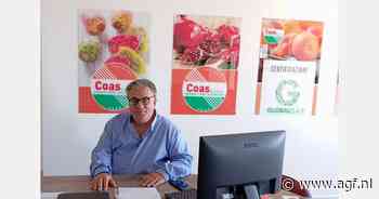 België en Frankrijk tuk op Siciliaanse cactusvijg