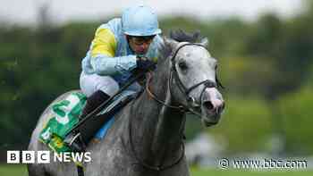 Charyn aims for Ascot glory on British swansong