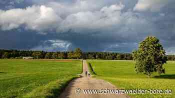 Neue Leitung in Schönbronn: Wie hart das Wasser in Wildberg bald wird