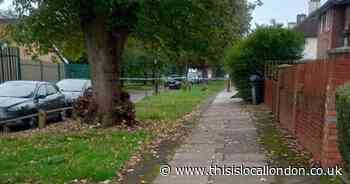 Man, 41, shot dead in Tottenham named for first time