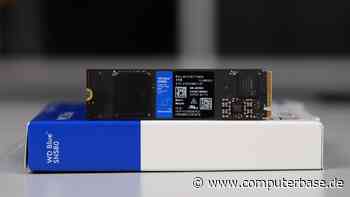 Blue Screen unter Win 11 24H2: Western Digital veröffentlicht Firmware­­-Updates für SSDs