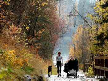 Edmonton weather: Intense winds, then slightly less intense winds
