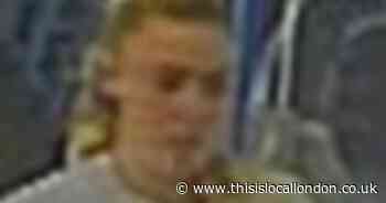 Woman wanted after dangerous dog hurt young girl on train in north Kent