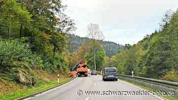 Schaden für die Umwelt?: Unfall im Nagoldtal hinterlässt Spuren