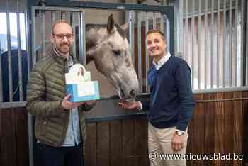 Dierenarts Jan brengt paardenmiddel tegen diarree nu ook voor mensen: “Het werkt zo goed dat ik dacht: ‘eigenlijk zou ik dit middel ook willen nemen’”