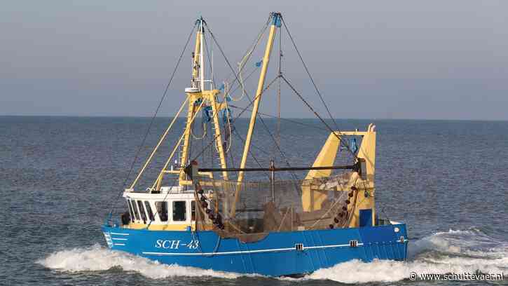 Letsch verkoopt garnalenkotter SCH-43 naar Engeland