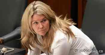 Ontario probing trustees who bought $100K in art for new school on Italy trip