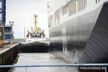 Gentse haven moet op zoek naar nieuwe baas: CEO Daan Schalck stopt ‘om persoonlijke redenen’