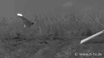 Testphase beendet: Frankreich liefert erste eigene Kamikaze-Drohne an die Ukraine