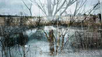 KZ Schandelah-Wohld: Wo sich die Topografie des Terrors spiegelt