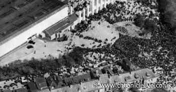 How an exhibition in Newcastle would become the biggest event ever held in our region