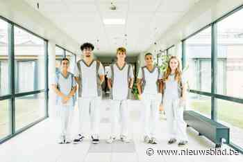 Vijf jongeren werken in zorgcentrum De Mick voor project in Burundi: “Ons loon gaat rechtstreeks naar het goede doel”