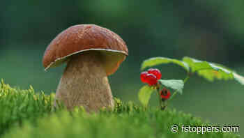 Unlock Your Creativity With Affordable Used Cameras