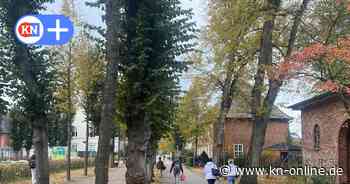 Messer-Mann bedroht Frau in Neumünster: Flüchtlingsberater fordert Abschiebung